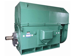 总口管理区Y系列6KV高压电机